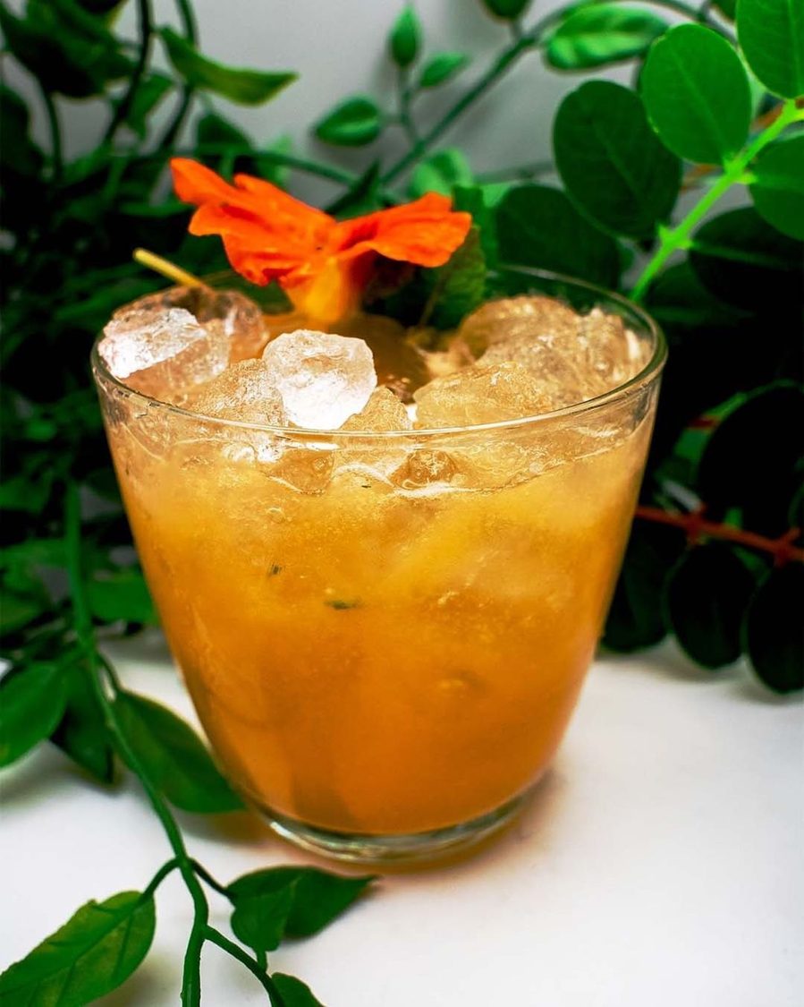 Orange-colored iced drink with a flower garnish against greenery